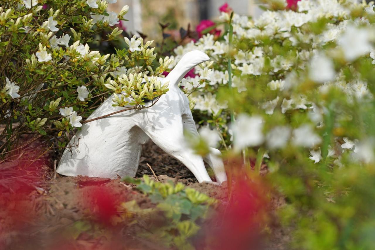 Gite Du Jardin تو المظهر الخارجي الصورة