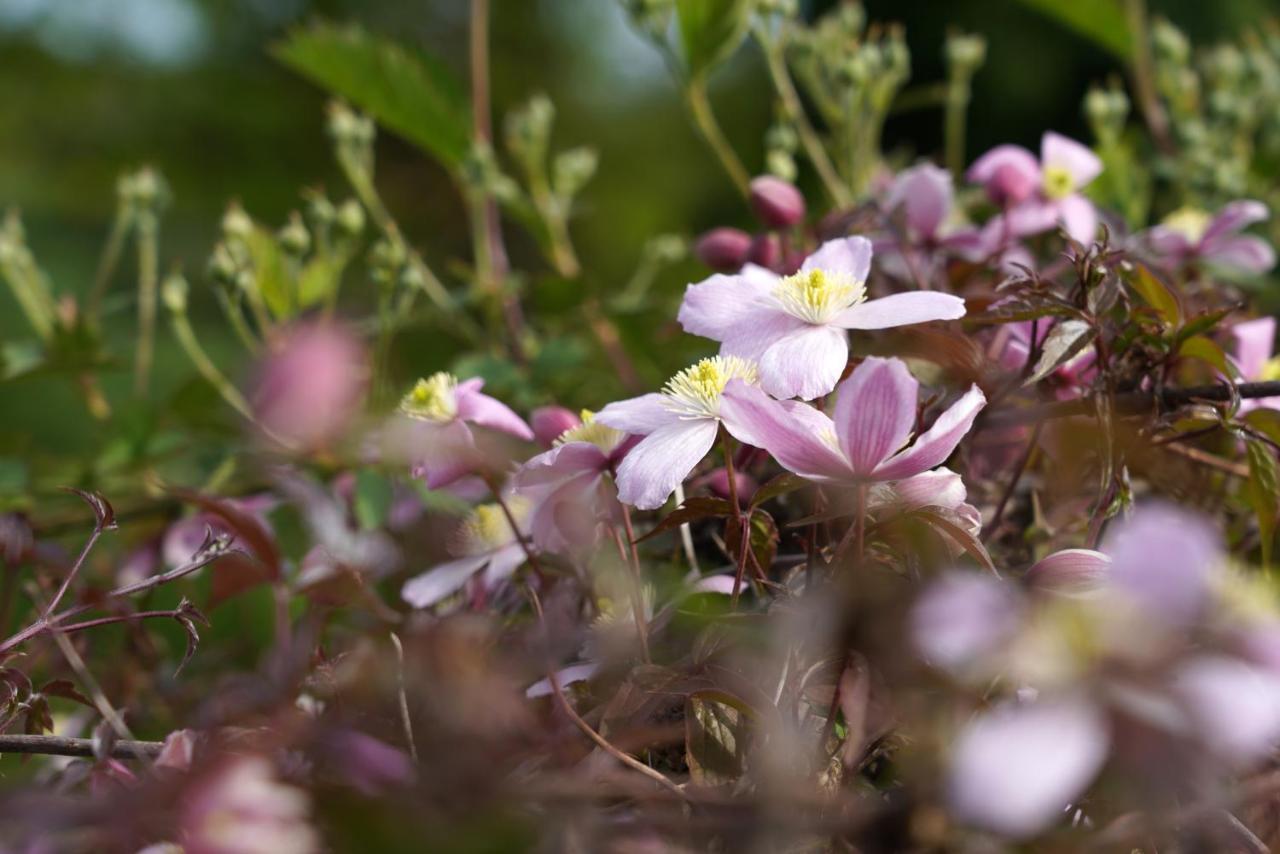 Gite Du Jardin تو المظهر الخارجي الصورة